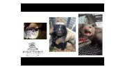 Animal Trackers Wildlife