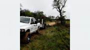 JP's Tree Care Specialist