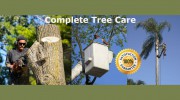 Mesa Trees