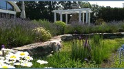 Terra Firma Landscape Architecture