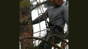 Affordable & Reliable Tree Service Ocala