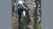 Primetime Pruning