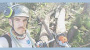 Hawaii Arborist