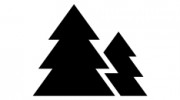Ponderosa Tree Service