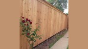 Harrison Fence