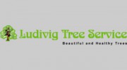 Ludivig Tree Service