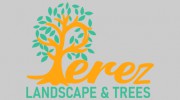 R & D Perez Irrigation & Landscape