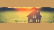 Expert Pest Solutions