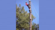 Mountain View Tree Service
