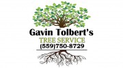 Gavin Tolbert's Tree Service