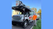 Beyond The Leaf Tree & Shrub Experts