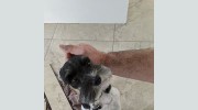 Karls Custom Tile & Trim Work