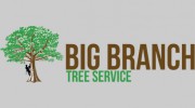 Big Branch Tree Service