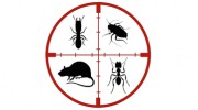Sniper Services