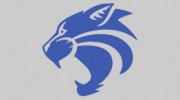 Wildcat Roofing