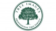 Tree Images