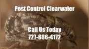Local Pest Control