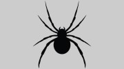 Red Carpet Pest Control