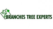Branches Tree Experts