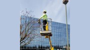 All Pro Tree Care