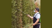 Town & Country Pest Control