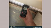 O2 Mold Testing