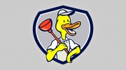 Plumber Duck