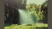 Mr Lawn