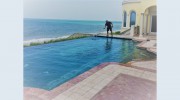 Landshark Pool Services