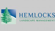Hemlocks Landscape Management