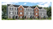 Moser Group