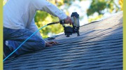 The Roof Lady