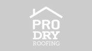 Pro Dry Roofing