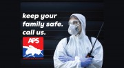 American Pest Solutions