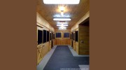 Orion West Lighting