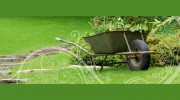 Earth First Lawn Care