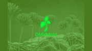 DMV Mold