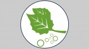 Mint Carpet Cleaning