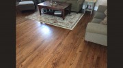 Southern Hardwood