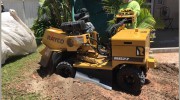 Affordable Tree Services Orange County
