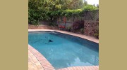 Kirby's Pools
