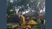 Rudy's Tree Service