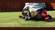 Firefighter Lawn Maintenance