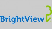 BrightView Tree