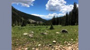 Bear Country Septic Services