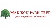 Madison Park Tree