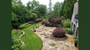 Reel Landscape MGMT