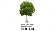 Best Tree Care