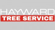 Hayward Tree Service