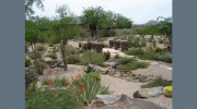 Red Mountain Landscaping